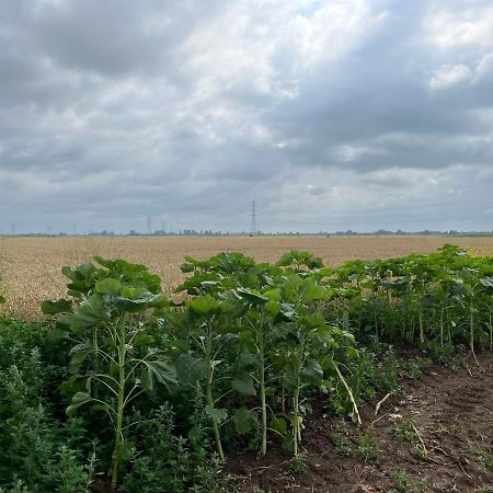 Gastenverblijf Stekkenhof Appartement Haalderen Buitenkant foto